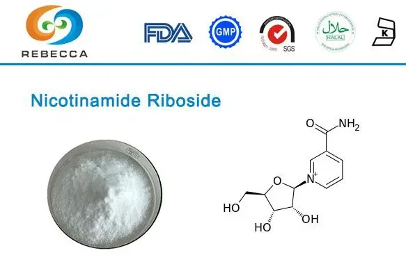 product-1-1 product-1-1