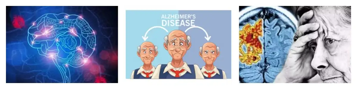 news-1200-300 news-1200-300