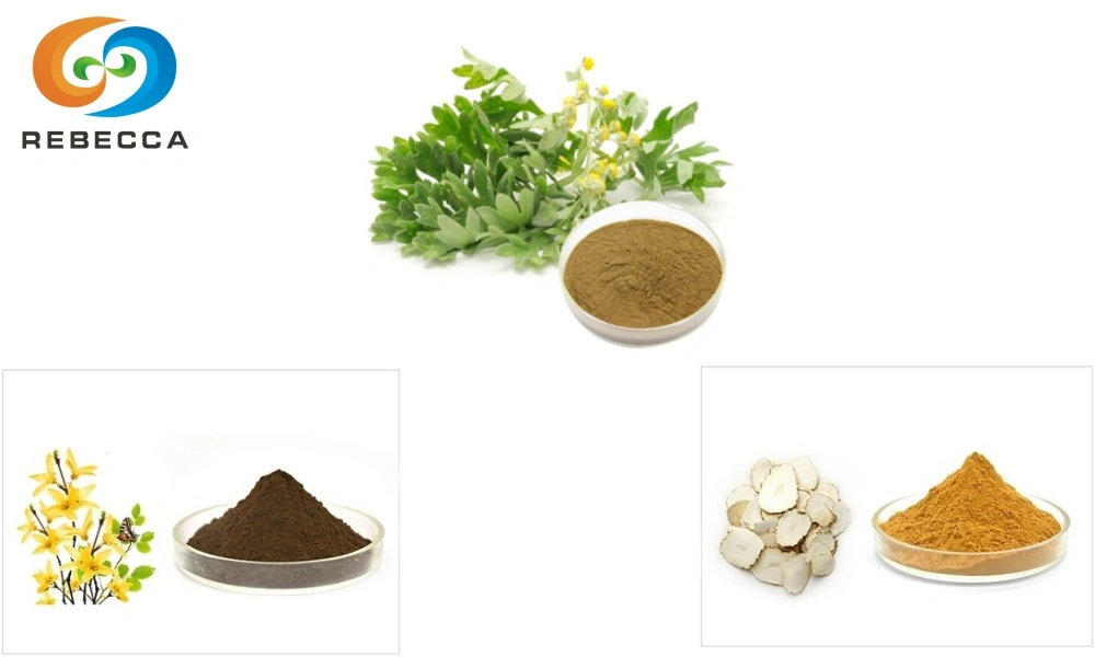 img-800-450 img-800-450