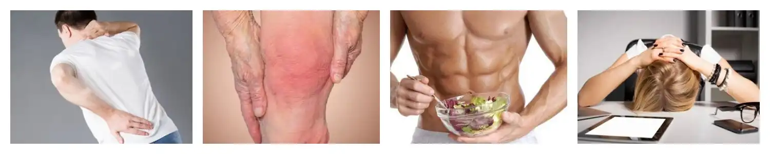 product-1-1 product-1-1