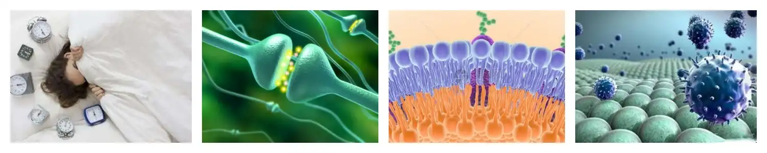 product-1-1 product-1-1