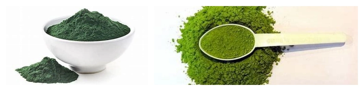 product-1-1 product-1-1