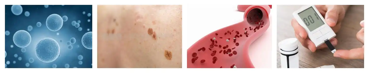 product-1-1 product-1-1