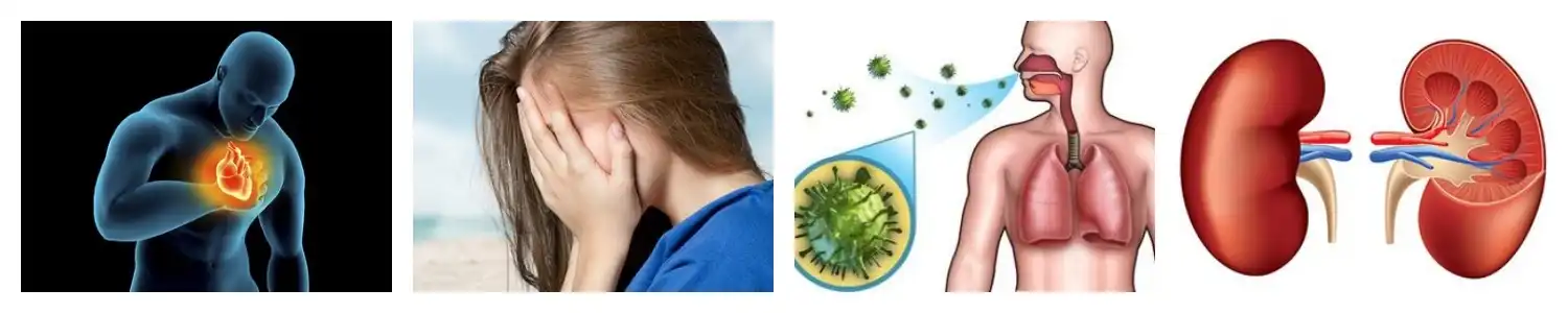 product-1-1 product-1-1