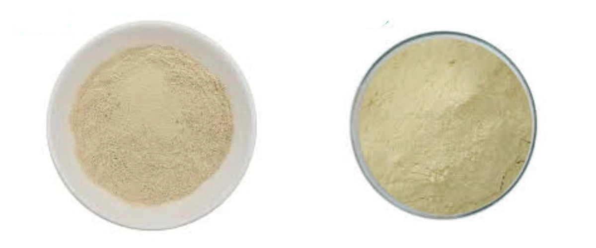 product-1-1 product-1-1