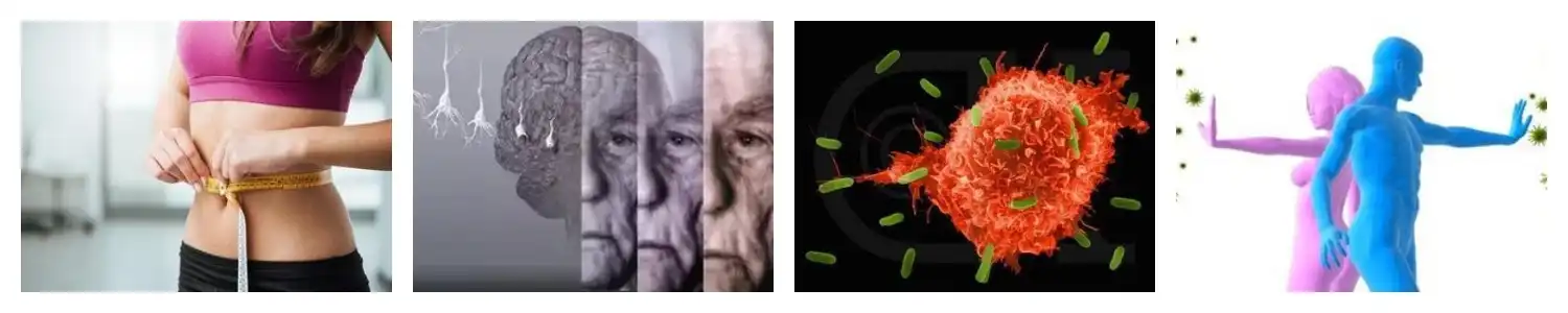 product-1-1 product-1-1