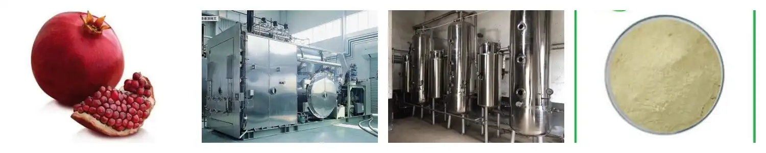 product-1-1 product-1-1