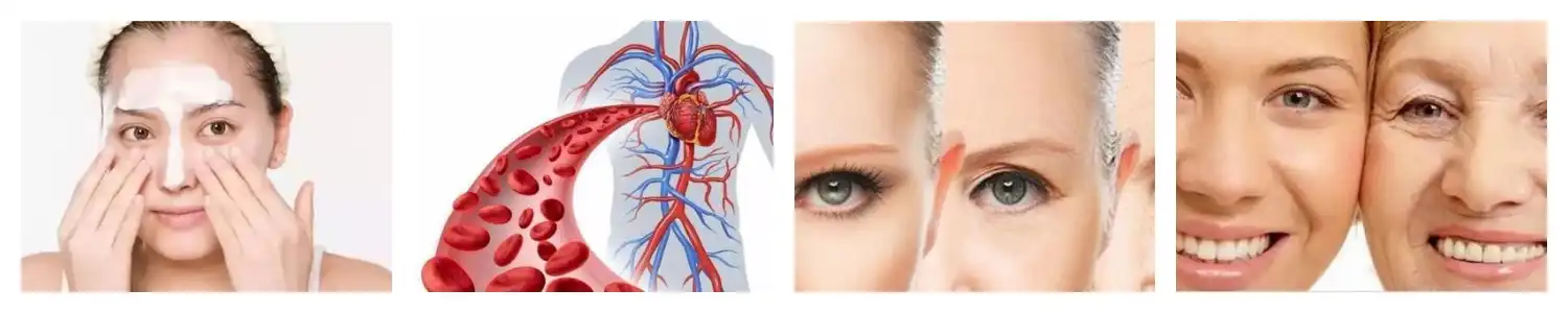 product-1-1 product-1-1