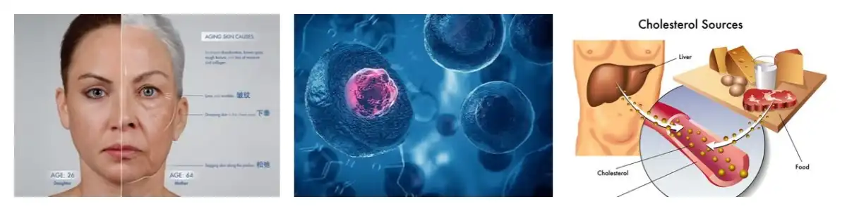 product-1-1 product-1-1