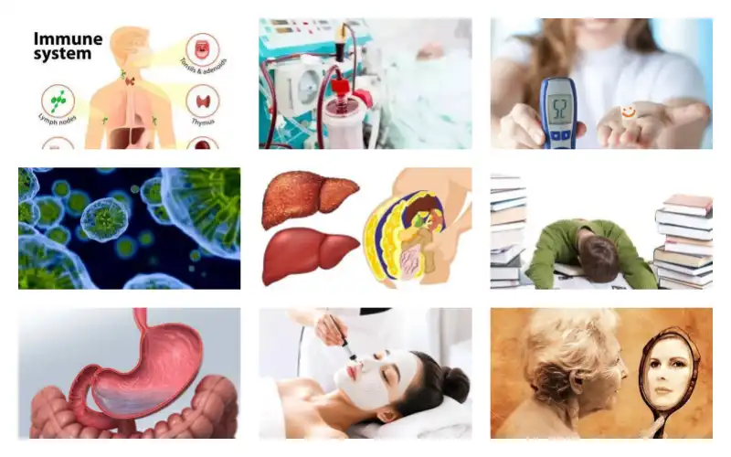 product-1-1 product-1-1