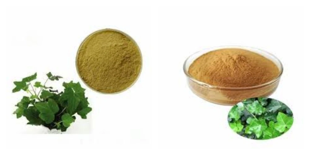 product-1-1 product-1-1