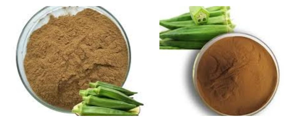 product-1-1 product-1-1