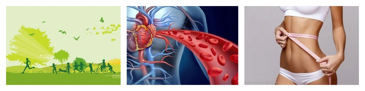 product-1-1 product-1-1