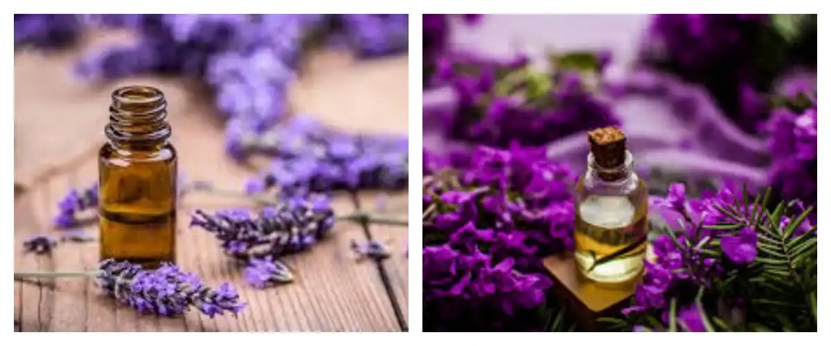 product-1-1 product-1-1