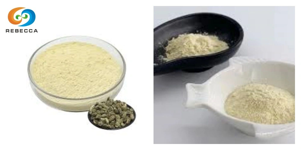 product-1-1 product-1-1