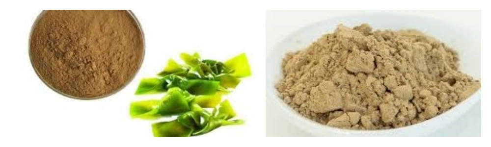 product-1-1 product-1-1