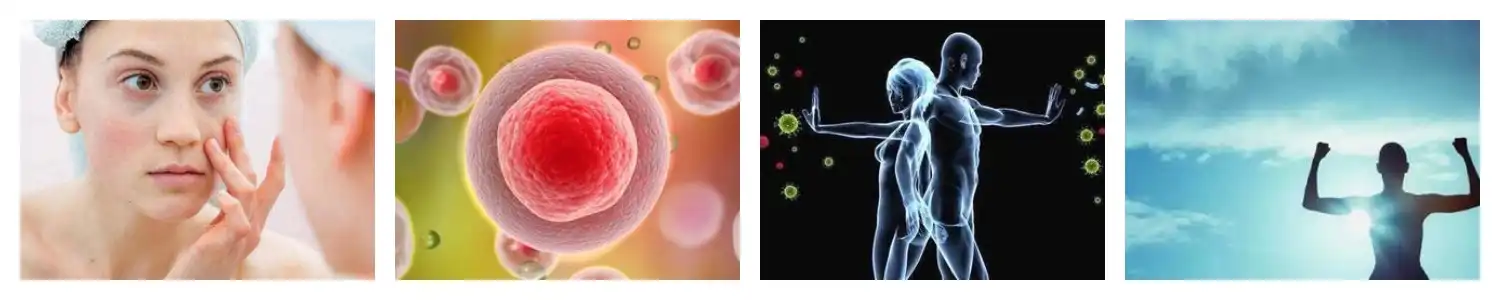 product-1-1 product-1-1