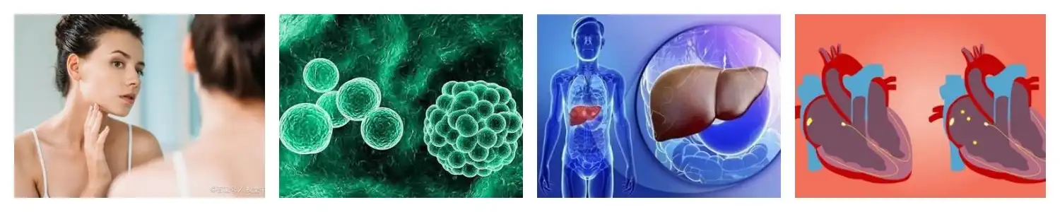 product-1-1 product-1-1