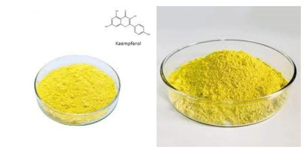 product-1-1 product-1-1