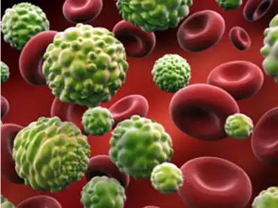 product-1-1 product-1-1