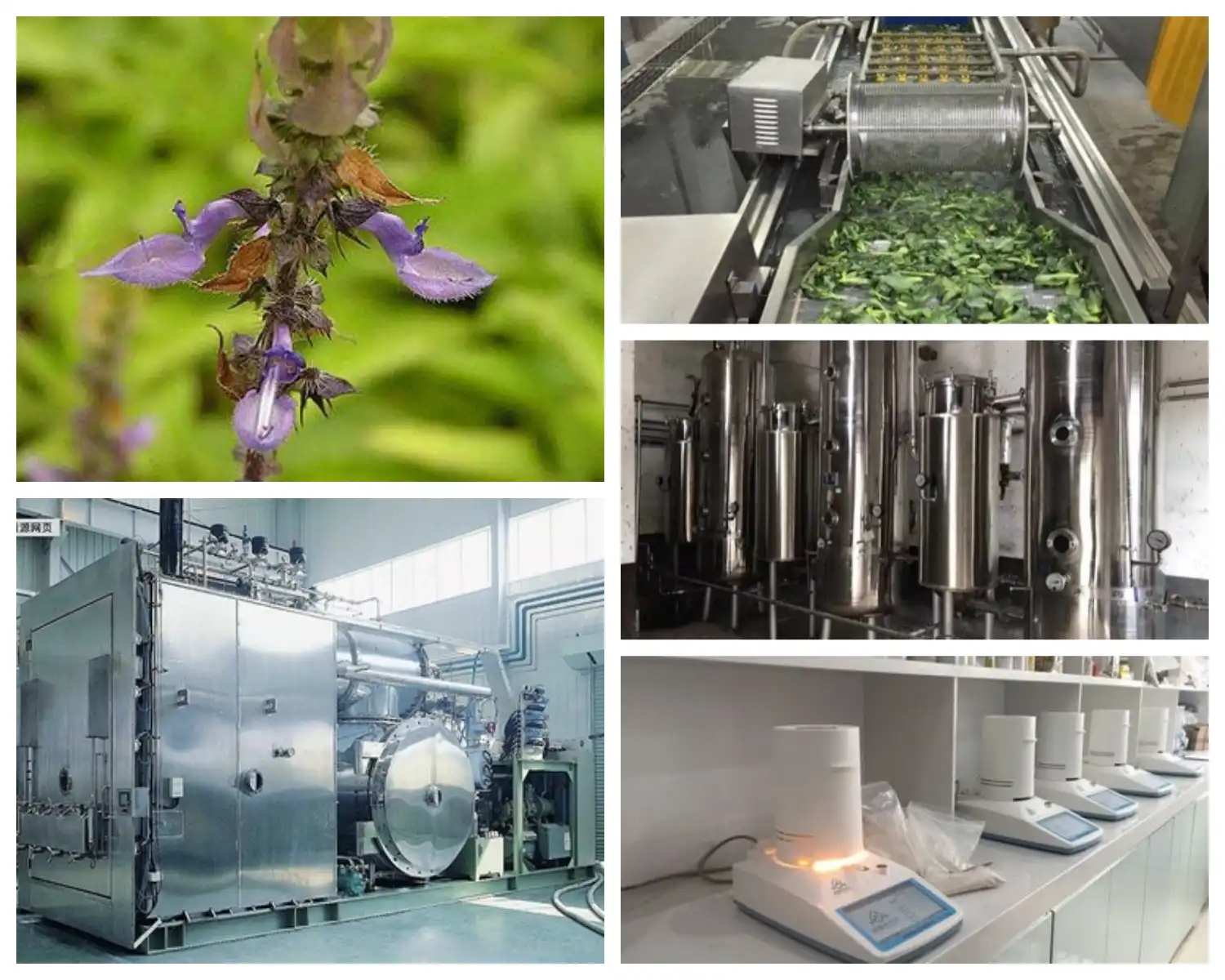 product-1-1 product-1-1