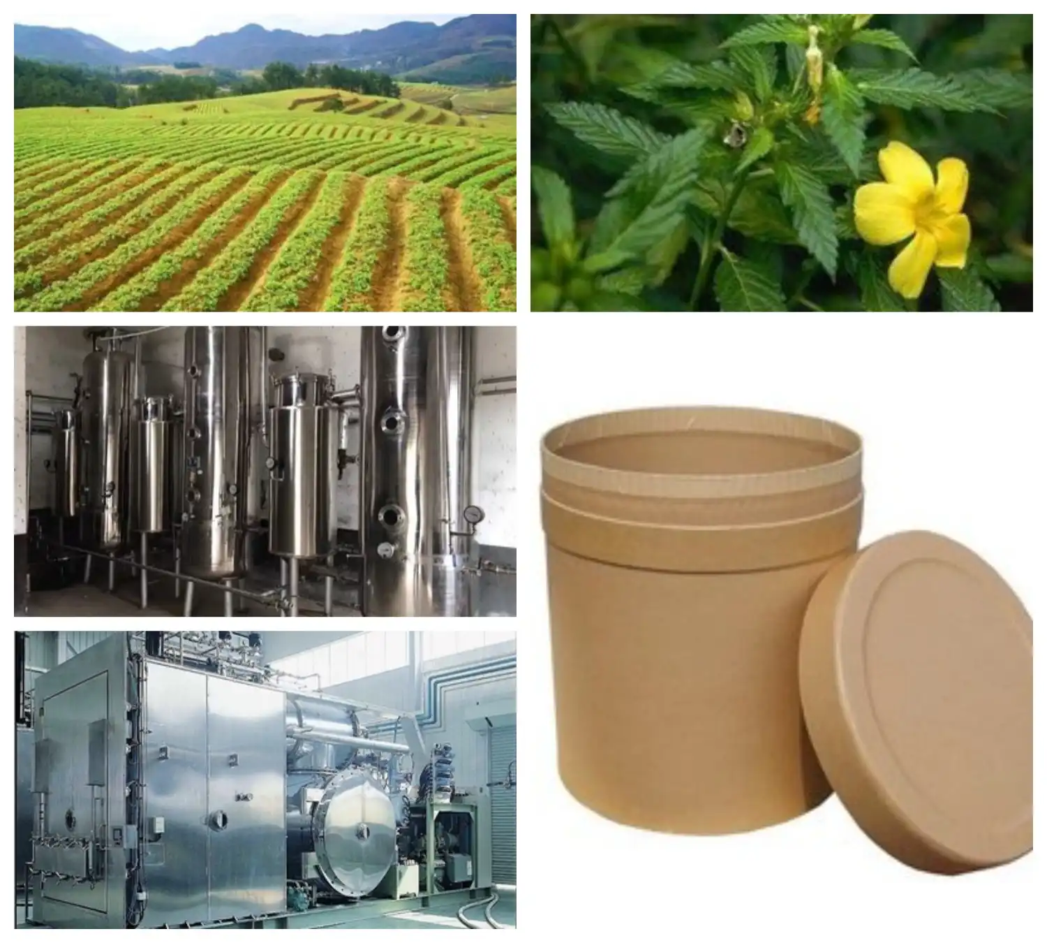 product-1-1 product-1-1