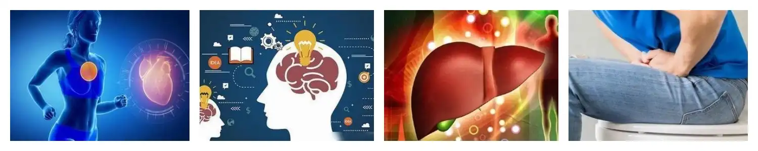 product-1-1 product-1-1