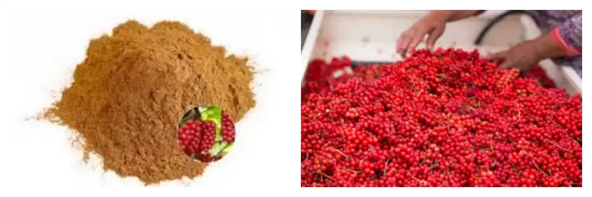 product-1-1 product-1-1