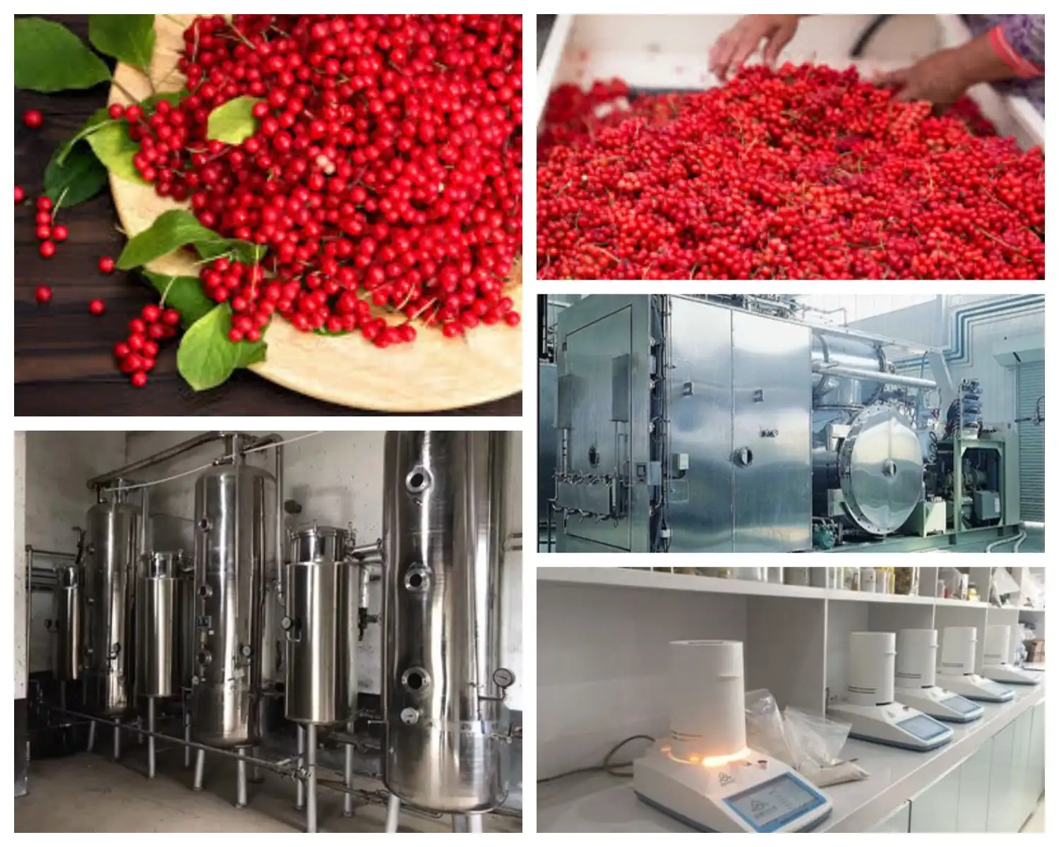 product-1-1 product-1-1