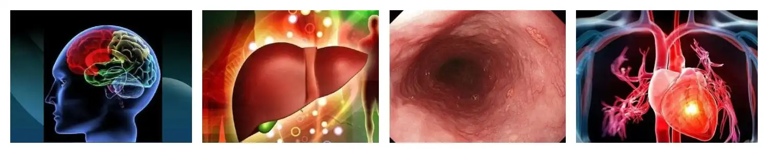 product-1-1 product-1-1