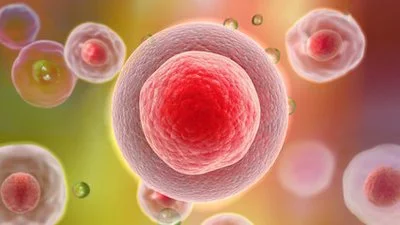 blog-400-225 blog-400-225