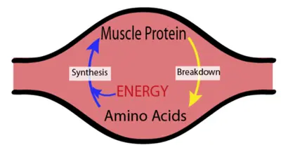 blog-400-207 blog-400-207