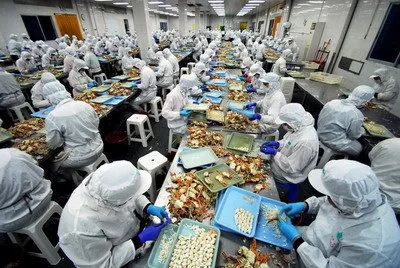 product-400-268 product-400-268