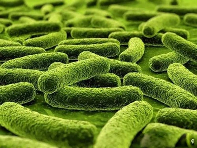 blog-400-300 blog-400-300