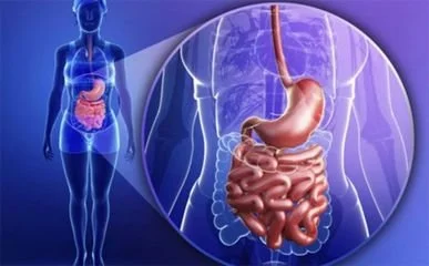 blog-387-240 blog-387-240