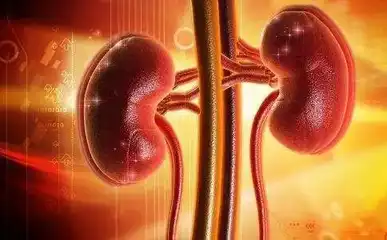 blog-387-240 blog-387-240