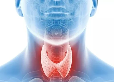 blog-400-290 blog-400-290