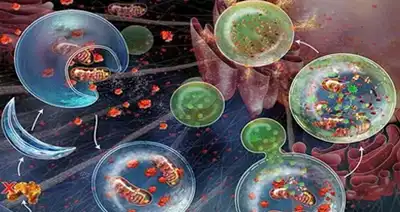 blog-400-212 blog-400-212