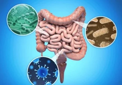 blog-400-280 blog-400-280