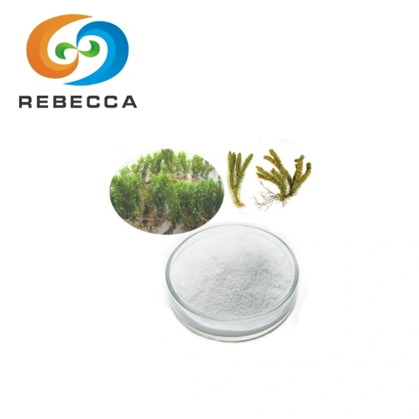 product-1-1 product-1-1