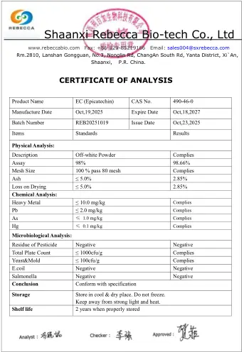 product-343-496 product-343-496