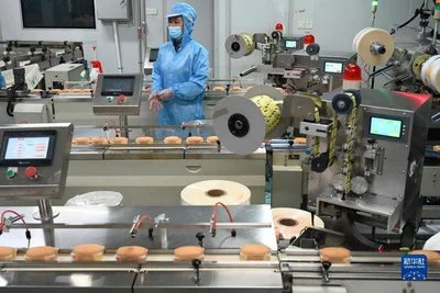 product-400-267 product-400-267