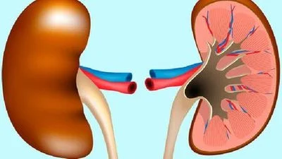 blog-400-225 blog-400-225