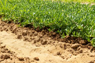 product-1-1 product-1-1