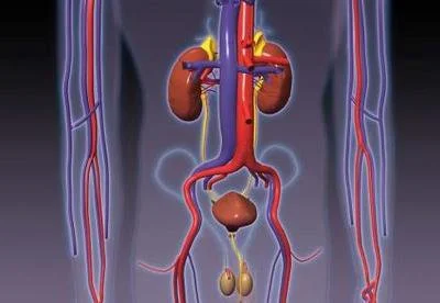 blog-400-276 blog-400-276