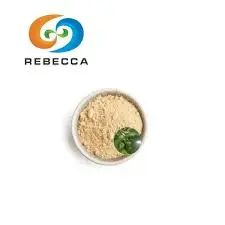 product-225-225 product-225-225