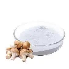 blog-225-225 blog-225-225