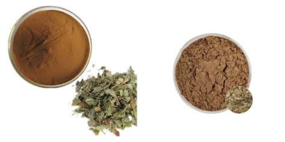 product-1-1 product-1-1