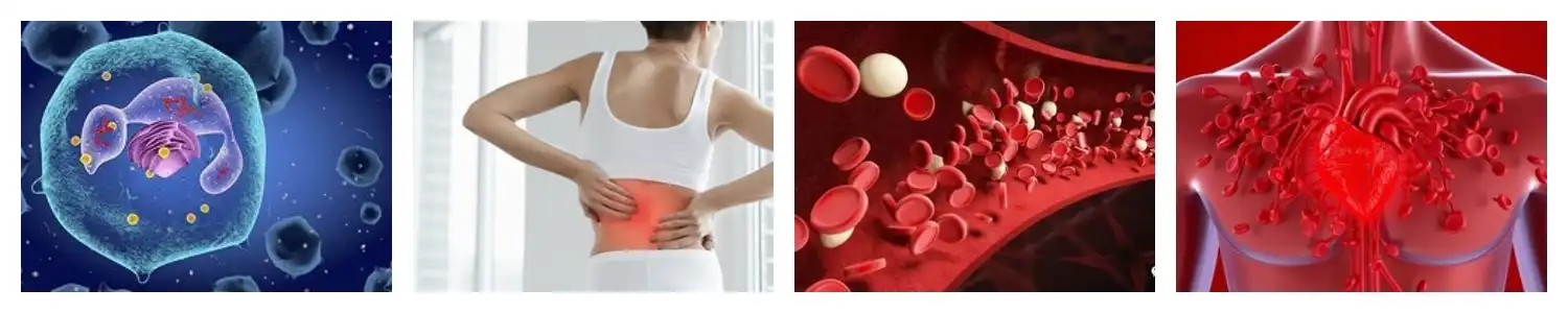 product-1-1 product-1-1