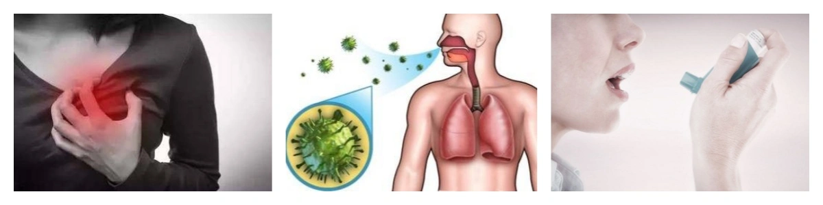 product-1-1 product-1-1